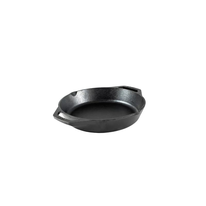 Lodge 10.25" cast iron skillet